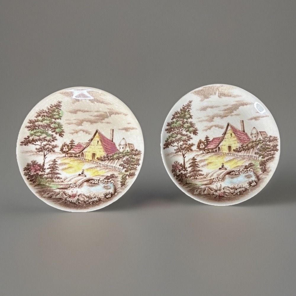 Set of 2 Vintage Cottagecore Farmhouse Plates Rustic Country Cabin Wall‎ Decor